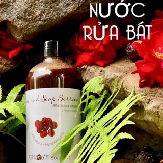 Nước rửa bát Karose Soapnut