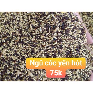 500g hạt trộn cho chim yến hót
