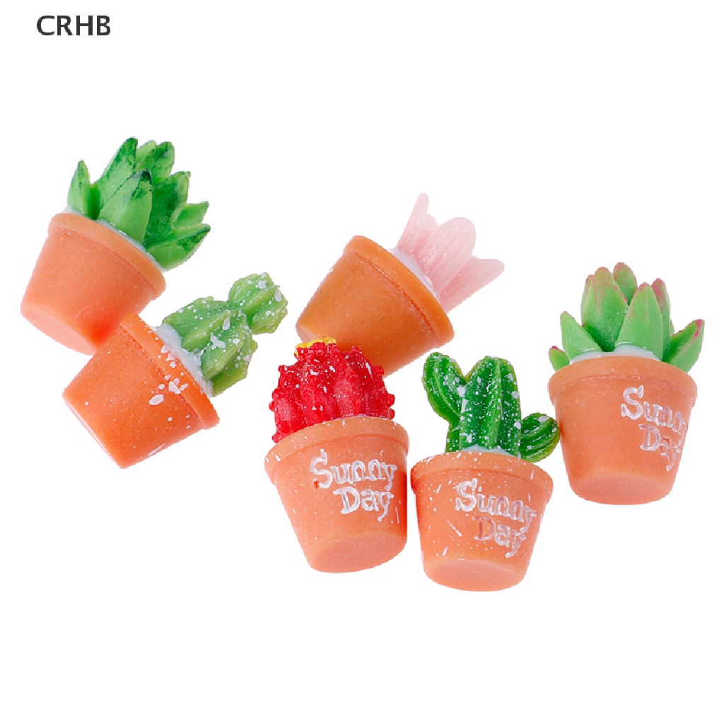Crhb Set 5 Cây Xương Rồng Bằng Nhựa Resin Nhỏ Tự Trang Trí Chậu Cây Bonsai Mới