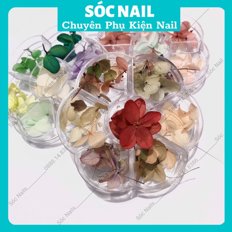 Hoa Khô Lụa Ẩn Móng Gel Nail Giá Rẻ,Hoa Trang Trí Móng Hàn Quốc 7 Màu