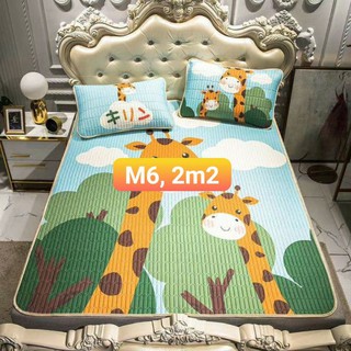 Chiếu Điều Hòa 4 mùa