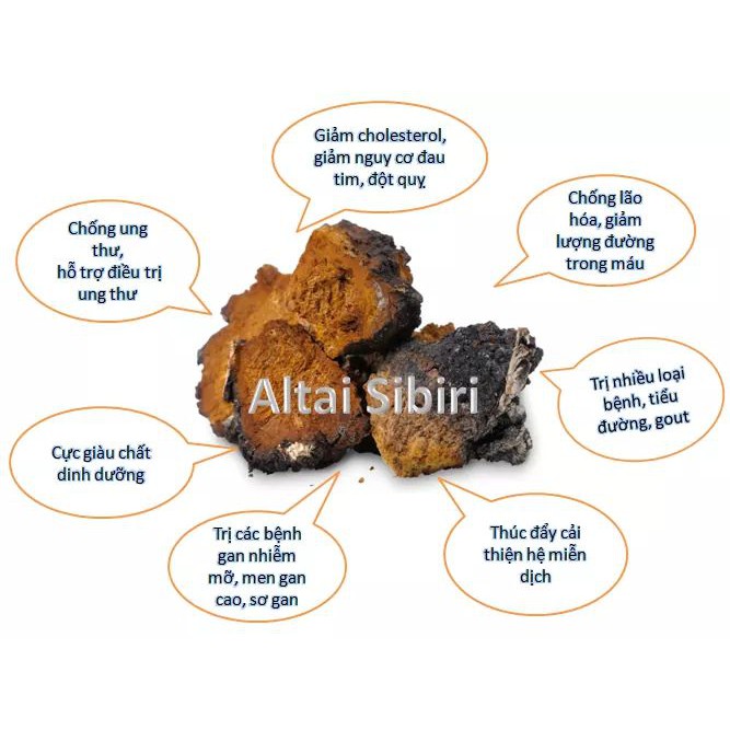 Khắc tinh TIỂU ĐƯỜNG - Nấm CHAGA - nhập khẩu Nga 2 gói 500g (1kg)
