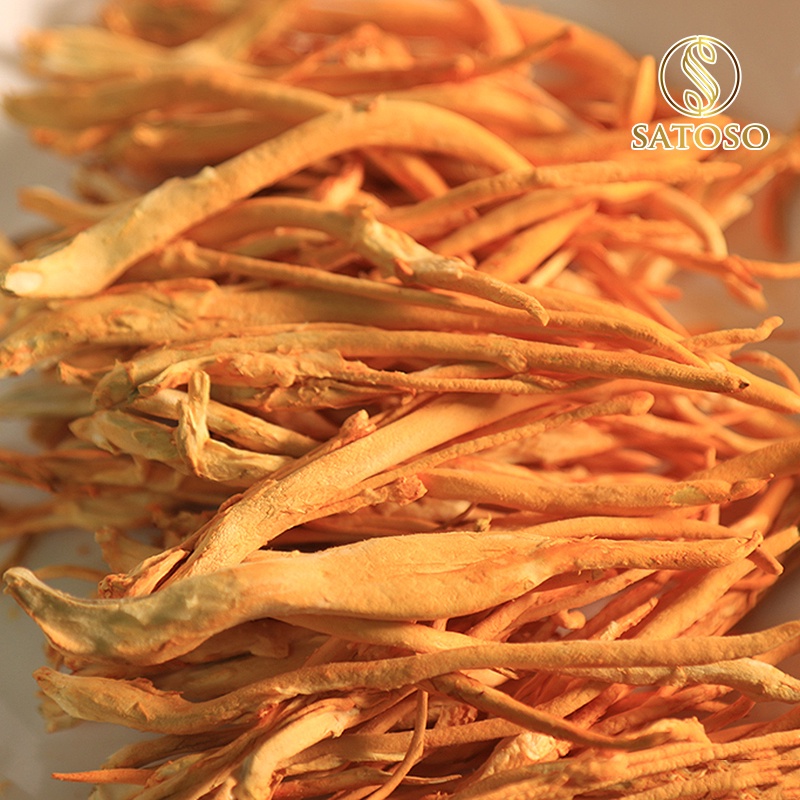 Đông trùng hạ thảo SATOSO 10g sấy thăng hoa SA002