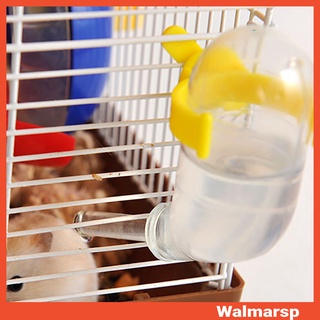 Bình Nhựa Đựng Nước Cho Chuột Hamster Hút Chân Không Chống Rò Rỉ Tiện Dụng 50ml