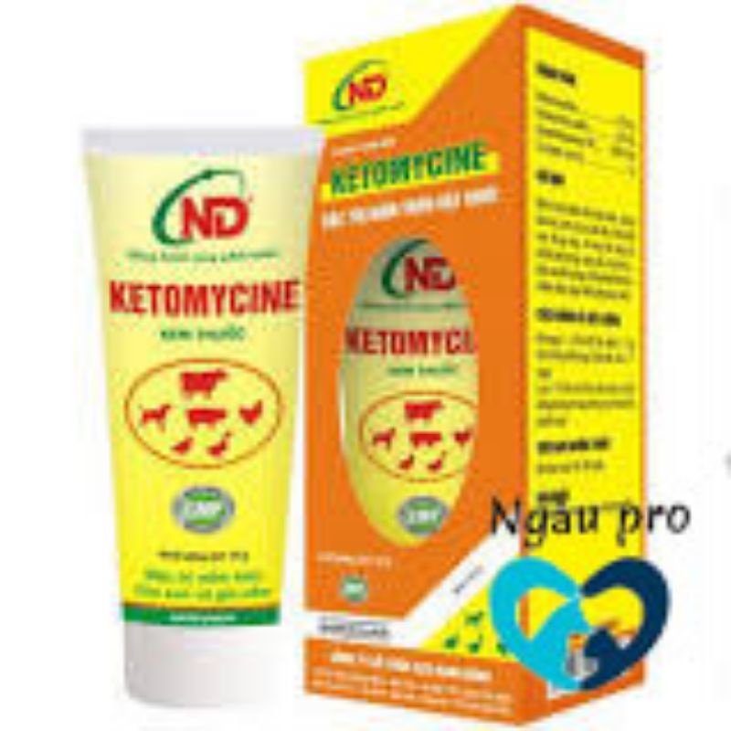 Thuốc bôi trị nấm, viêm da ghẻ chó mèo KETOMYCINE tuýp 25gr