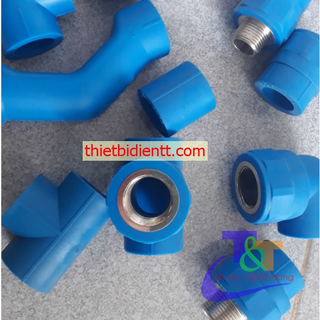 Phụ kiện ống nước nóng có ren 20 PPR Bình Minh