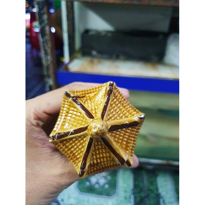 NHÀ NGHỈ TRÁNG MEN TRANG TRÍ HỒ CÁ NON BỘ RỘNG 7CM CAO 10CM