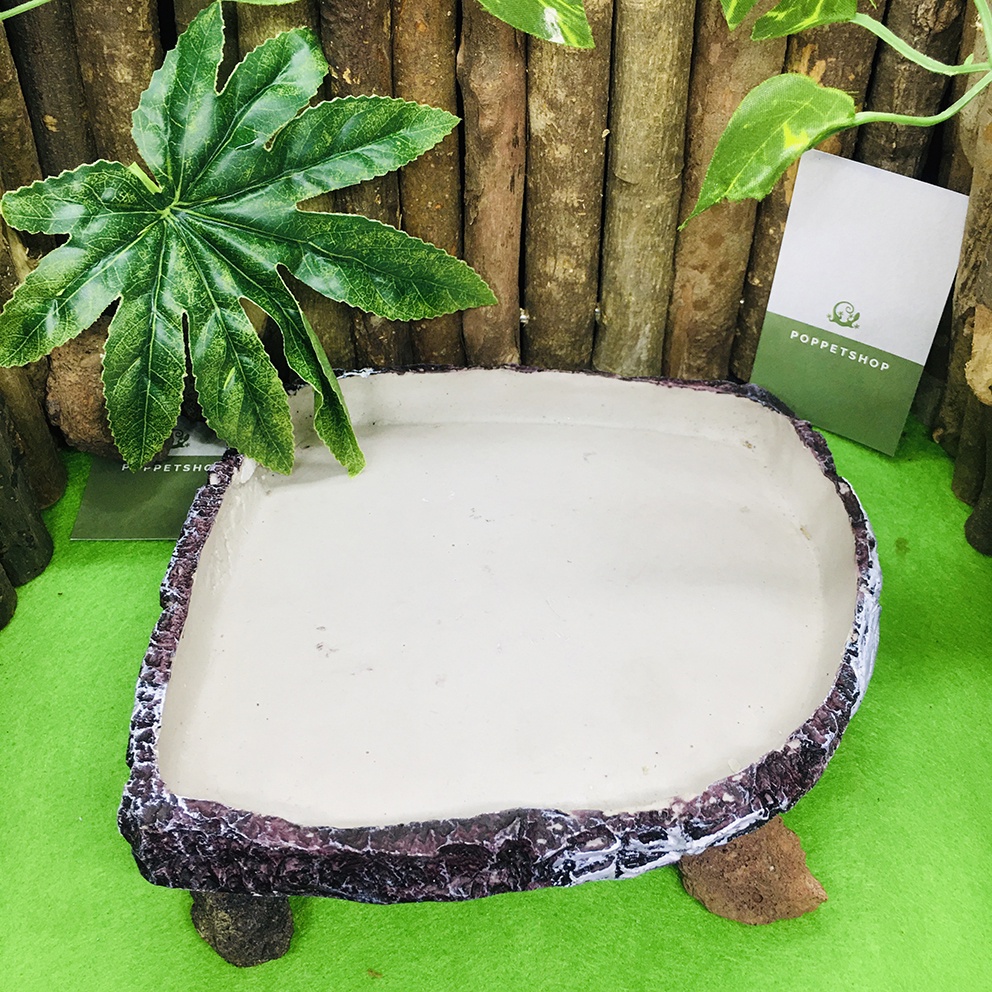 Máng Ăn Máng Nước Bò Sát - Bát Ăn Bát Nước - Vân Đá Lộ Xương Khủng Long - Khảo Cổ - Decor