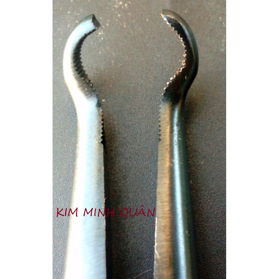 Kìm Kẹp , Gắp Đồ Nóng 275mm/11&quot; Lỗ Gắp 5mm, 9mm , 15mm B0050-11 CMart