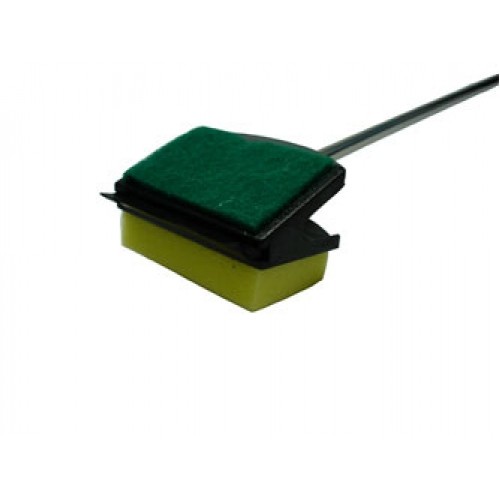 Cây cọ rêu bể cá thủy sinh, cay co reu be ca thuy sinh