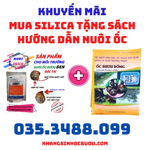 NANO SILICA CHẾ PHẨM CHUYÊN KHẮC PHỤC HIỆN TƯỢNG MÒN VỎ MẺ MIỆNG MỌT VÒNG NANOSILICA SẢN PHẨM CHO ỐC BƯƠU ĐEN