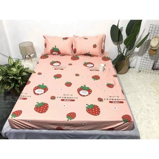Ga Chống Thấm Cotton Hàn Quốc, Nằm Trực Tiếp Không Nóng, Không bí, Không Sột Soạt