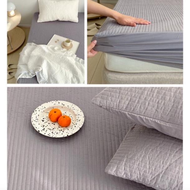 (Có Bán Gối Rời) Ga Trải Giường Chần Bông Bo Chun Hàn Quốc Hàng Cao Cấp Trang Trí Phòng Ngủ Cực Xinh