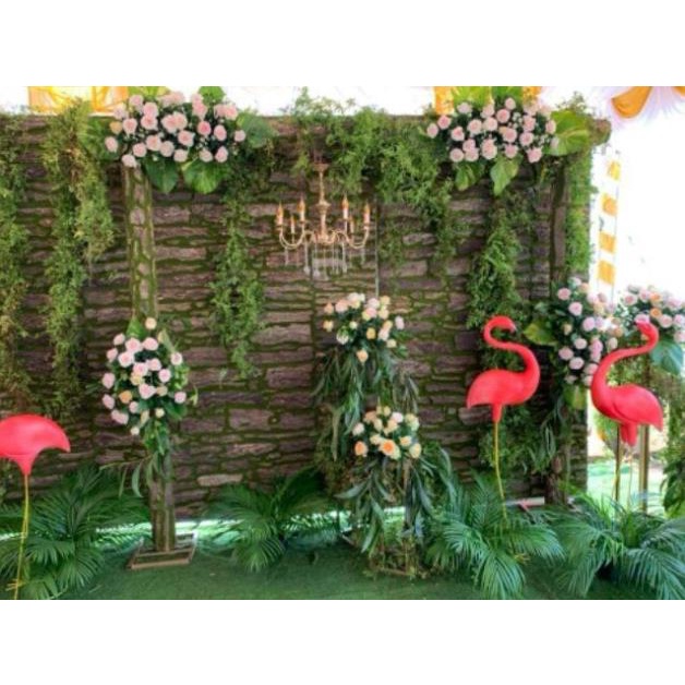 Tấm gỗ rêu 50x100cm
