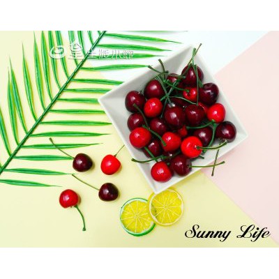 3 lát chanh giả giống hệt thật làm phụ kiện chụp ảnh