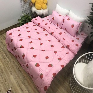 chăn phao poly trái dâu 1m8 x 2m