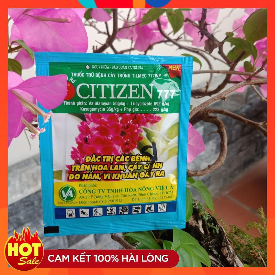 Thuốc trị nấm trên hoa phong lan Citizen 777