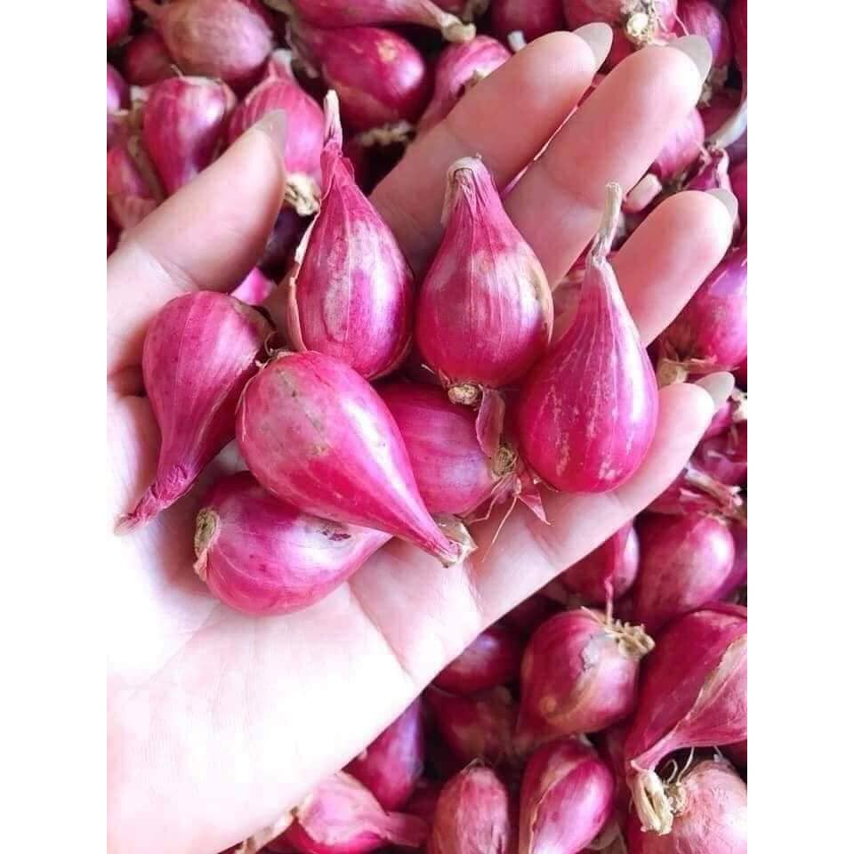 [Mã 267FMCGSALE giảm 8% đơn 500K] Hành Tím Lý Sơn Quảng Ngãi 0.5KG | BigBuy360 - bigbuy360.vn