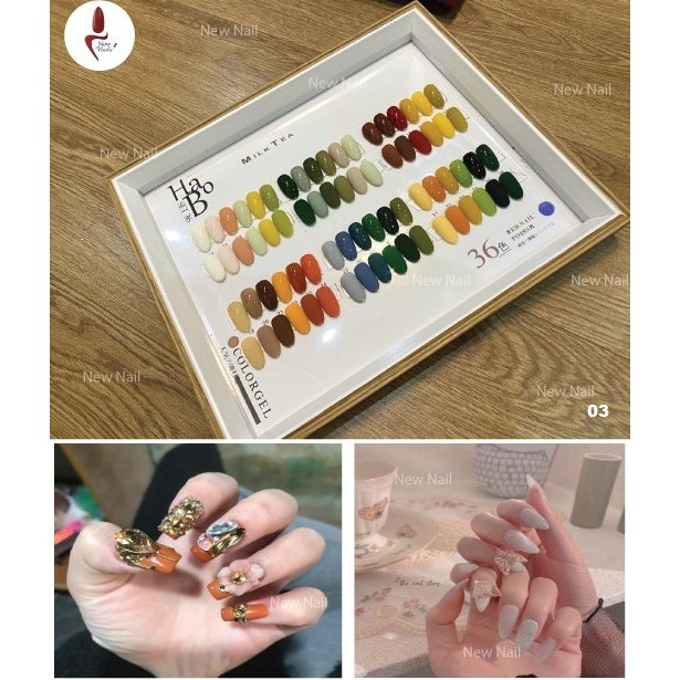 Sơn móng tay dạng sơn gel, set gồm 36 màu sắc dung tích 15ml