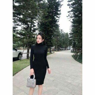 Đầm body tay dài cổ lọ