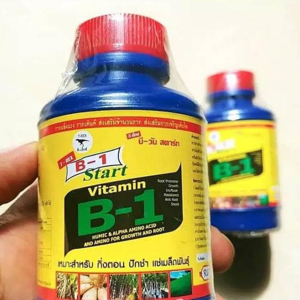 Vitamin B1 Thái Lan Dùng Cho Hoa Lan, Cây Cảnh