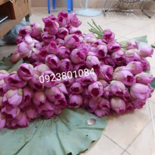 Chè sen Tây Hồ-Chè sen