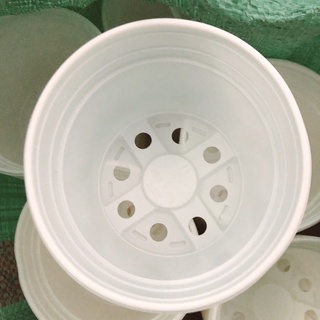 Chậu nhựa mềm 12cm trồng cây bắt mồi,sen đá
