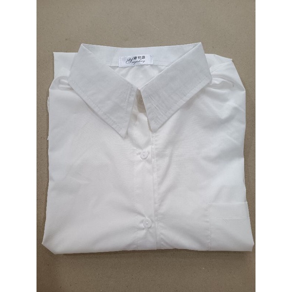 Áo sơ mi trắng basic ly sau - chất thô nến freesize