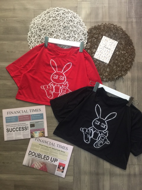 Áo Croptop Form Rộng Thỏ Ảnh Thật