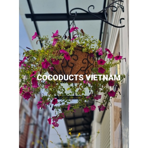 Giỏ hoa treo xơ dừa ban công - sân vườn