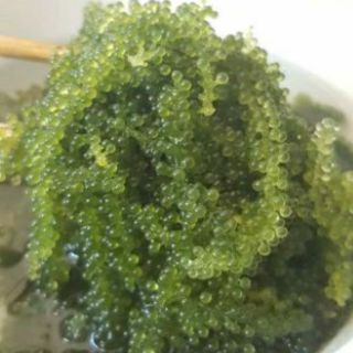 100g rong nho tách nước