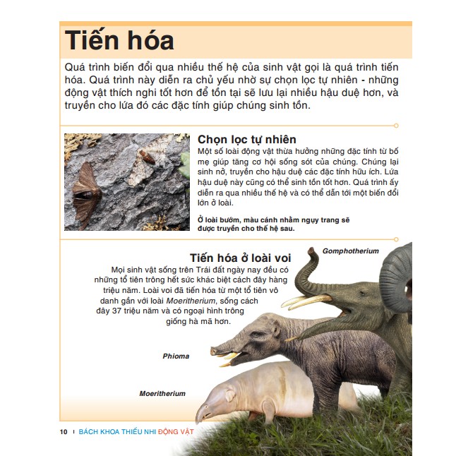 Bách khoa thiếu nhi động vật | BigBuy360 - bigbuy360.vn