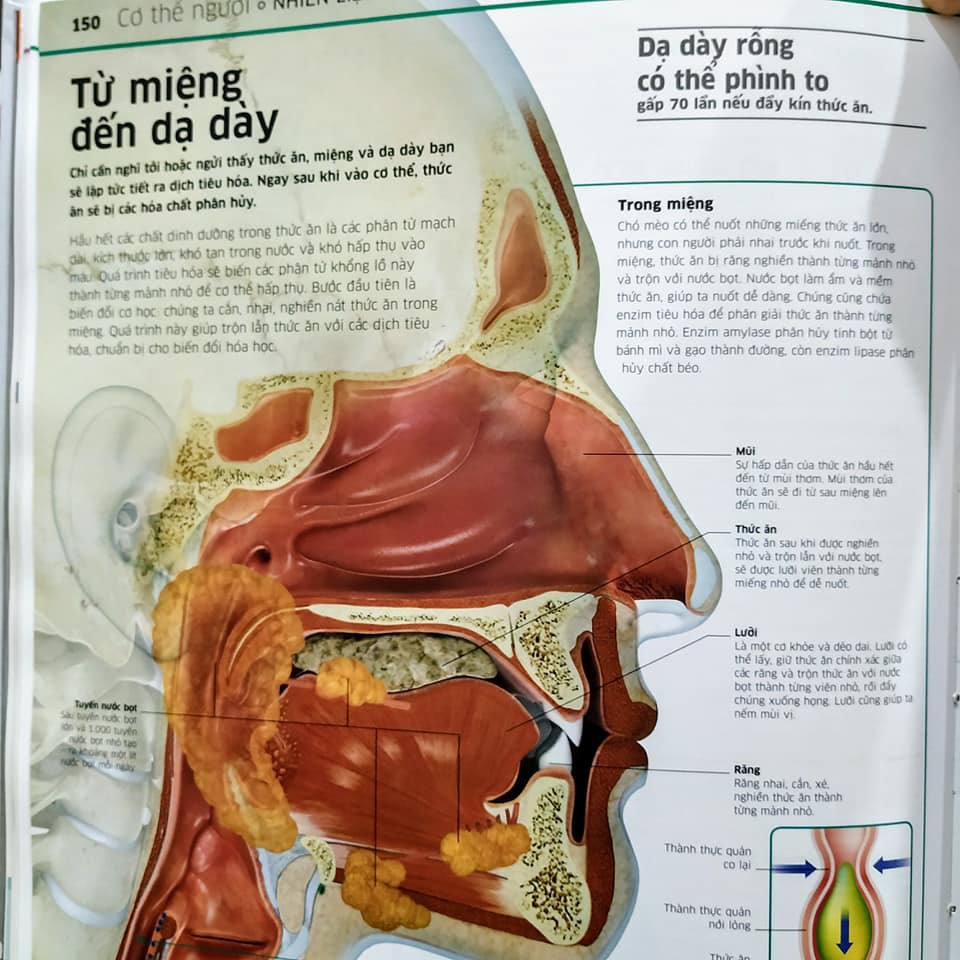 Sách - Tri thức về vạn vật - Tặng Kèm sổ Tay