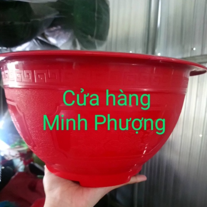 Chậu nhựa T33 đỏ hoặc đá đen