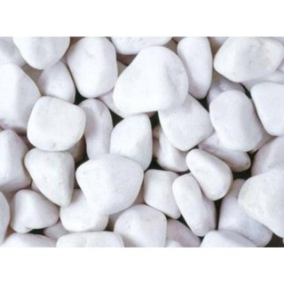 Đá sỏi to màu trắng bịch 500gr