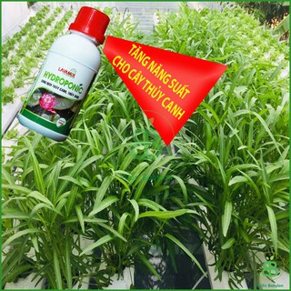 Dung Dịch Trồng Thủy Canh Cho Sen Mini Hydroponic 100ML