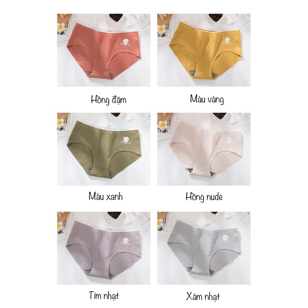 QUẦN LÓT CÚC HOẠ MI COTTON SỢI TRE HOẠT TÍNH KHÁNG KHUẨN CHỐNG VIÊM ÔM TRỌN NÂNG ĐỠ VÒNG 3 Q770 (Video & Ảnh thật) | BigBuy360 - bigbuy360.vn