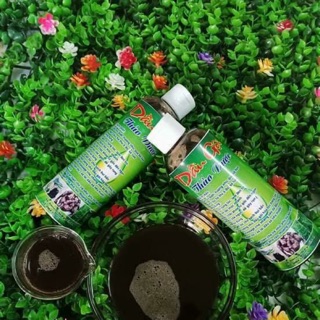 Dầu gội thảo dược