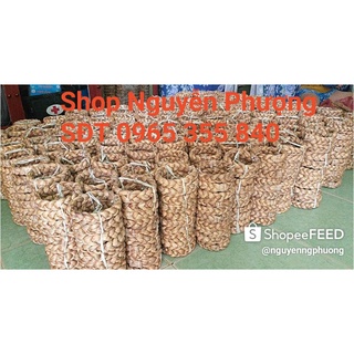 Đế Lục Bình Lót DỪA TRỌC (giá 1 đế)