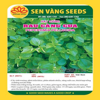 HẠT GIỐNG RAU CÀNG CUA bịch 0.1gr