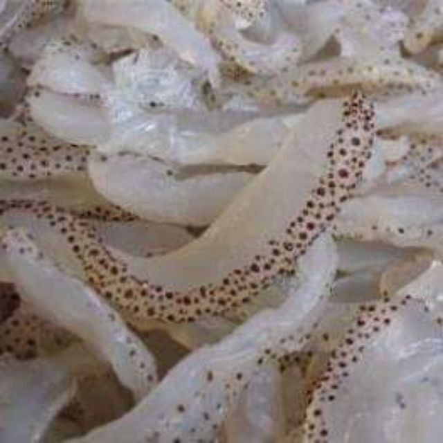 Sứa 500gr làm nộm - nấu bún - làm gỏi