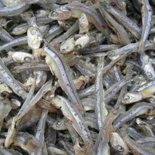 Cá cơm khô loại ngon