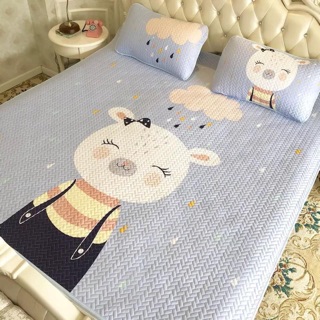 Chiếu điều hoà tencel 1,8x2m