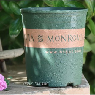 Chậu Monrovia 5GL giá sale