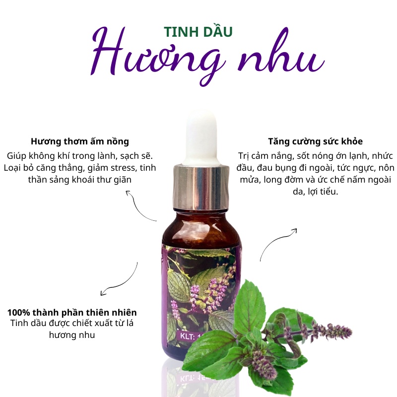 Tinh Dầu Thiên Nhiên Hương Nhu Nguyên Chất Dung Tích 10ML Xông Phòng, Toả Hương Thơm, Sạch Không Khí, Khử Mùi Diệt Khuẩn