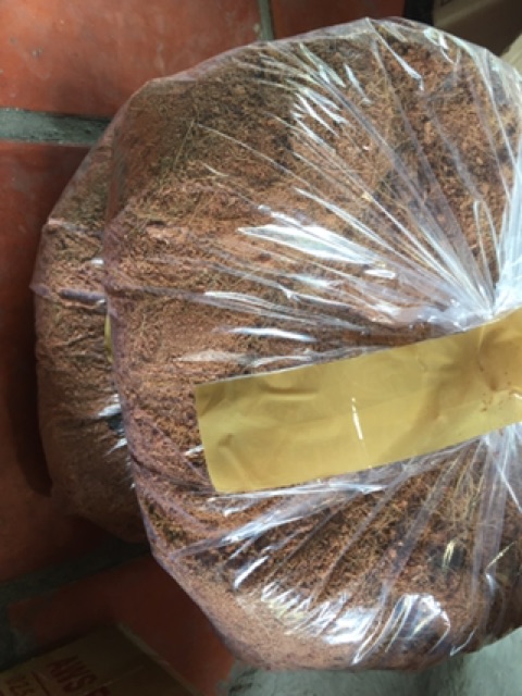 Xơ dừa túi 500gr 10k