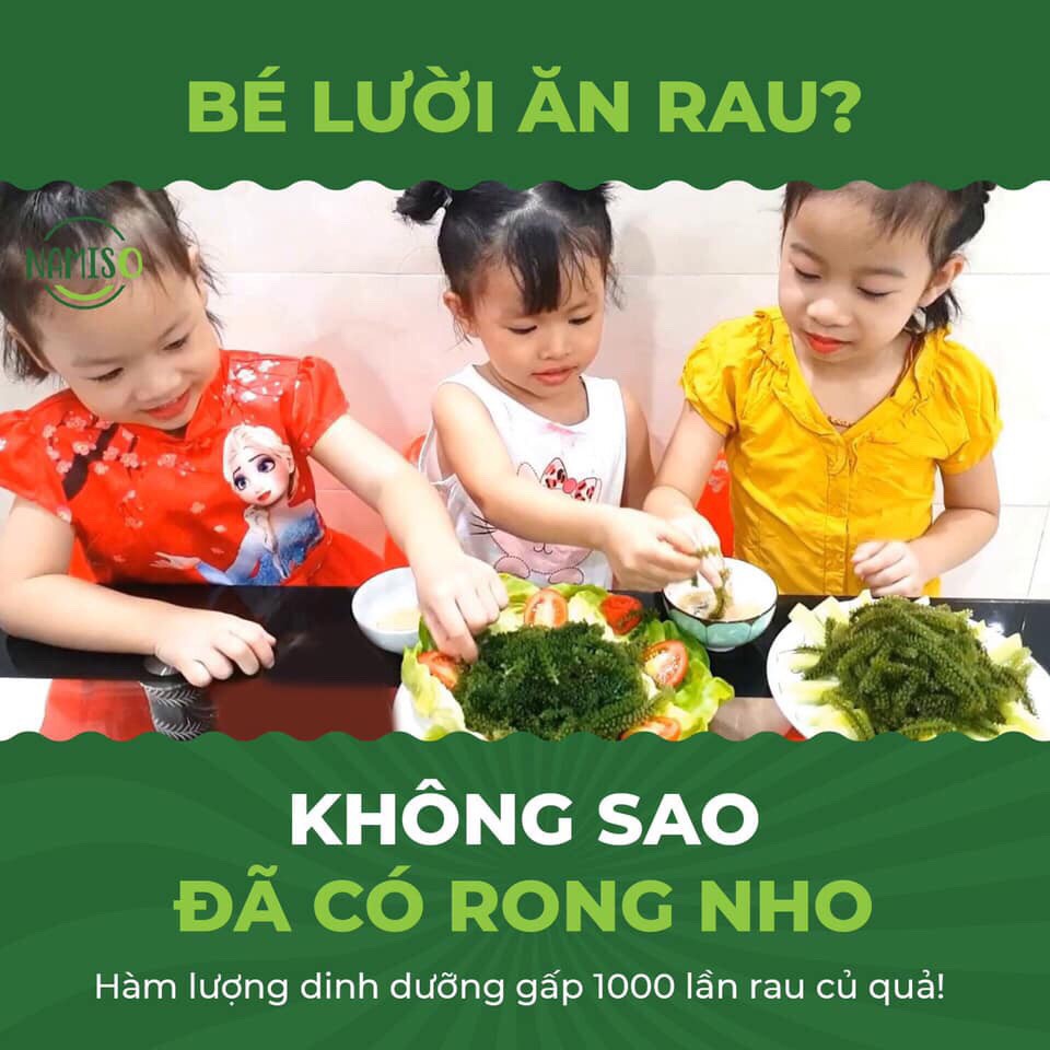 Rong Nho Tách Nước Namiso Organic, , Ngon Giòn, Giàu Dinh Dưỡng, Kèm Nước Chấm Mè Rang