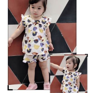 Combo 3 bộ thô đũi bèo cho bé gái