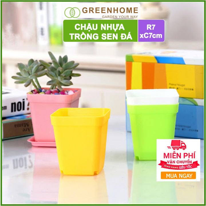 Chậu nhựa trồng sen đá, 7x7cm, bền, đẹp, màu sắc hiện đại, màu ngẫu nhiên, không dĩa |Greenhome