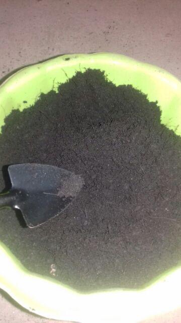 Đất sạch tribat bán lẻ 1kg